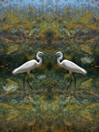 Wetlands Egrets
